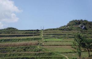 河壩自然村山路