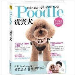 Poodle貴賓犬