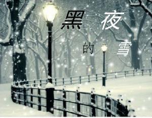 黑夜的雪