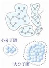 水分子氫鍵結構