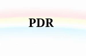 PDR[醫學術語]