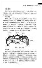 腰椎間盤突出症針刀治療與康復