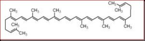 番茄紅素分子結構