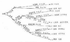 臨床決策分析