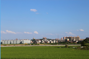 鎮村美景