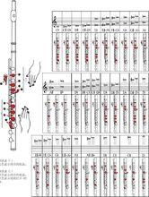 長笛指法訓練教程