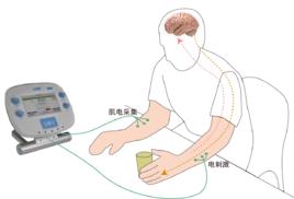 肌電信號