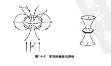 磁各向異性基團