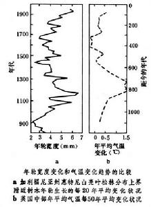 年輪氣候學