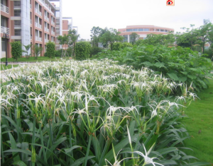 順德市勒流中學