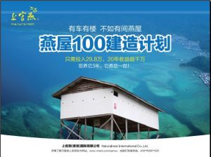 燕屋100建造計畫