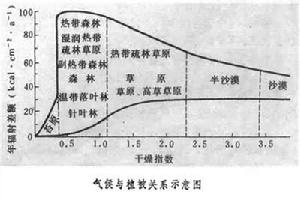 氣候分類