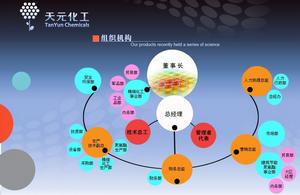 天元化工組織機構