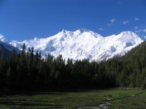 南迦帕爾巴特峰