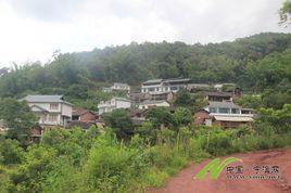 下岔河村[雲南省普洱市寧洱縣黎明鄉岔河村轄自然村]