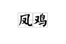 鳳雞[漢語詞語]