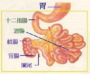 （圖）吸收不良綜合徵