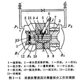 雙波紋管差壓計