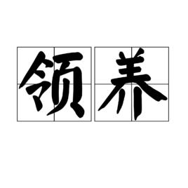 領養[漢語詞語]