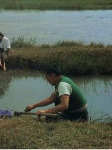 《似水流年》[1984年香港電影]