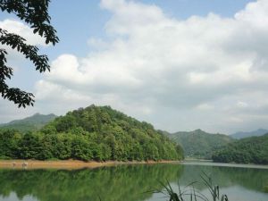 小坑國家森林公園