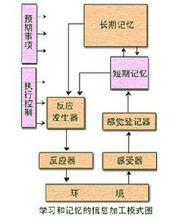 學習的信息加工模式