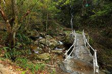 浙西天池吳越古道