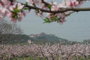 斗山農業生態園