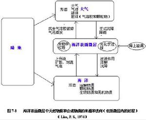 環境化學效應