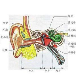 耳膜炎