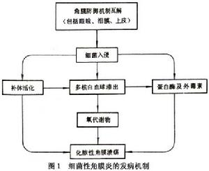 細菌性角膜炎