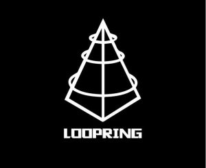 Loopring路印協定