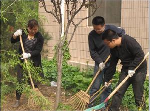 紫竹院街道綠化圖