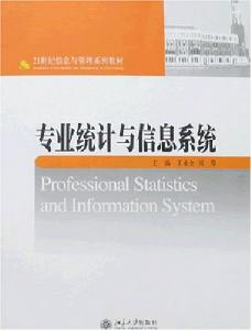 專業統計與信息系統