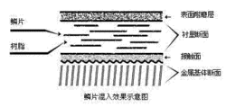 玻璃鱗片襯裡斷面結構圖