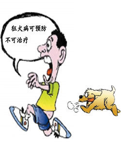 狂犬病