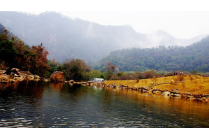 仙台山國家森林公園