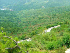 雲龍山森林公園