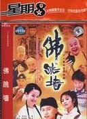 佛跳牆[2001年大陸版夏雨、李湘主演電視劇]