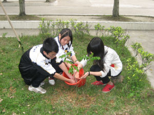 綠色校園建設