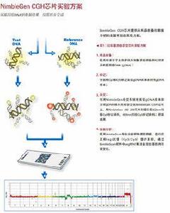 cgh[比較基因組雜交]