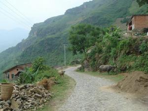 進村道路