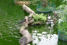 香港動植物公園