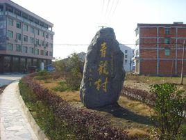 青龍村[雲南威信縣羅布鄉下轄村]