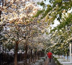 一冬四雪