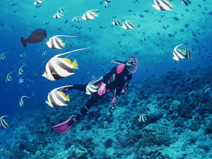 Great Barrier Reef