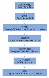 全基因組重測序