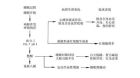 中樞性睡眠呼吸暫停