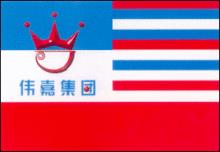 北京偉嘉集團旗幟