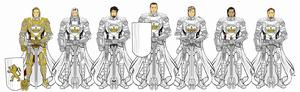 Kingsguard，Paladin，Solamnic Knight